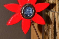 DSC_4720neu