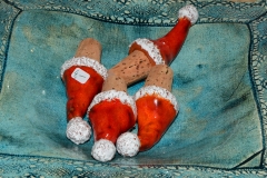 DSC_4695neu