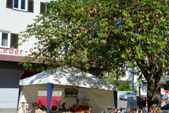 DSC_9371neu